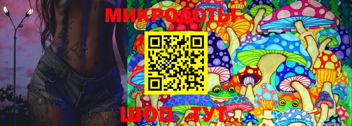 Псилоцибиновые грибы Cubensis Протвино